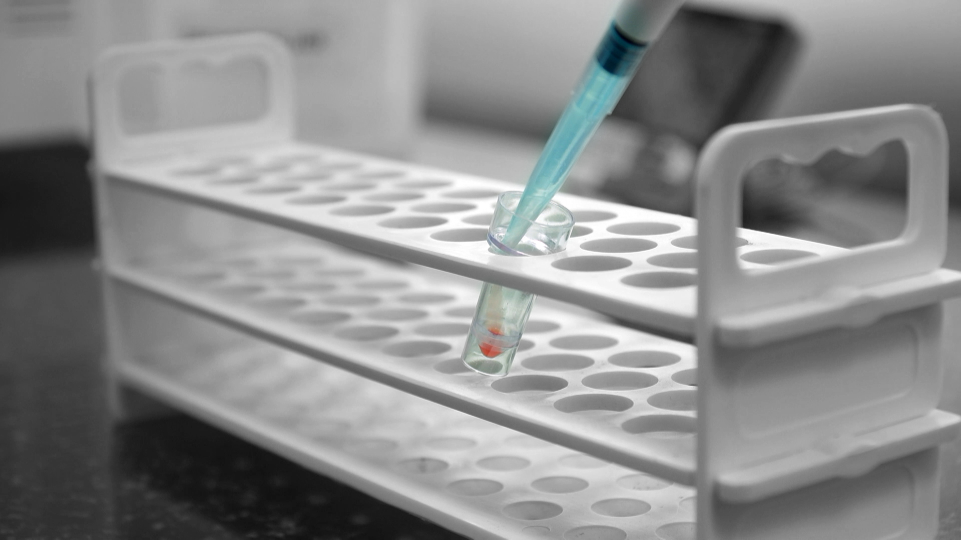 Laboratory Image 3